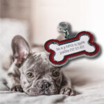 Obesek za ključe KOST